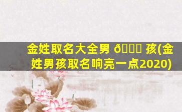 金姓取名大全男 🐘 孩(金姓男孩取名响亮一点2020)